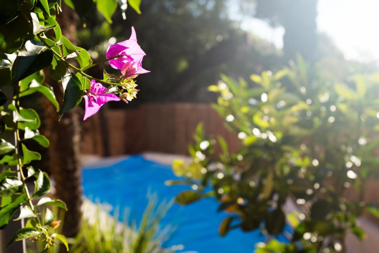 Villa Fiore Torbole Sul Garda Екстериор снимка