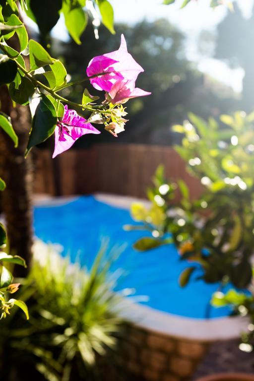 Villa Fiore Torbole Sul Garda Екстериор снимка